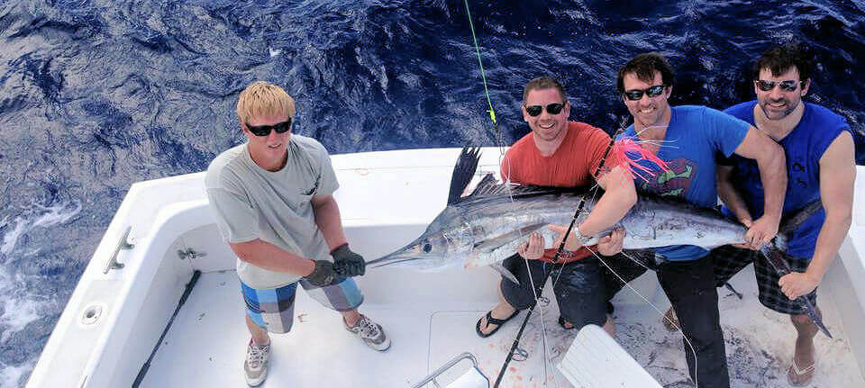 Hatteras, NC White Marlin released on offshore sportfishing charter.