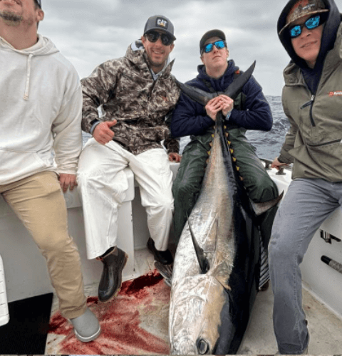 Longer Days makeup charter angler display giant bluefin tuna.