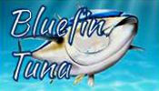 Bluefin tuna
