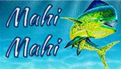 Mahi Mahi