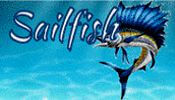 Sailfish