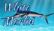 White Marlin